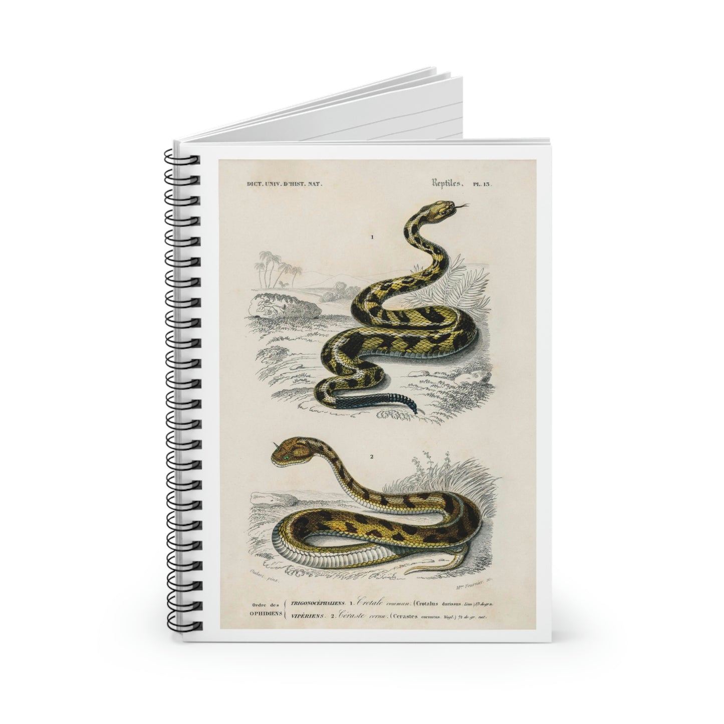 Spiral Notebook - Ruled Line