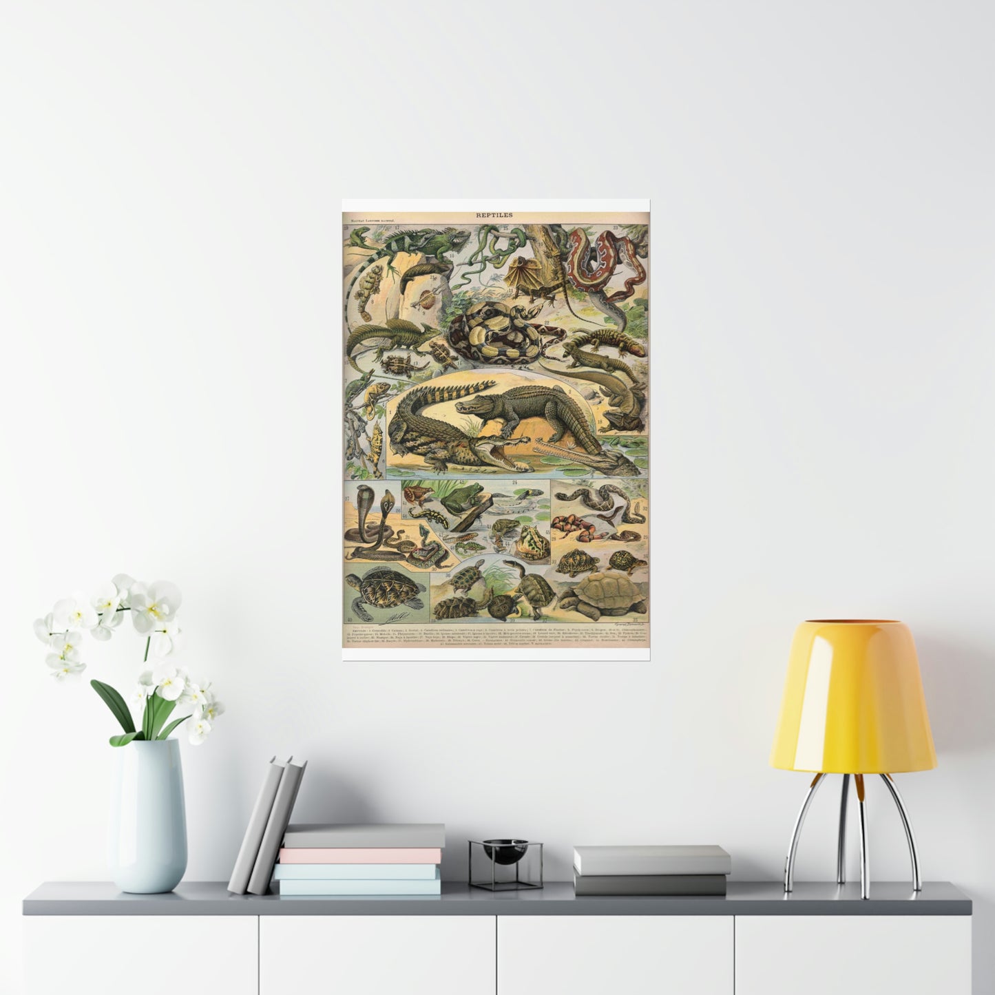 Reptiles Vintage Reproduction Illustration