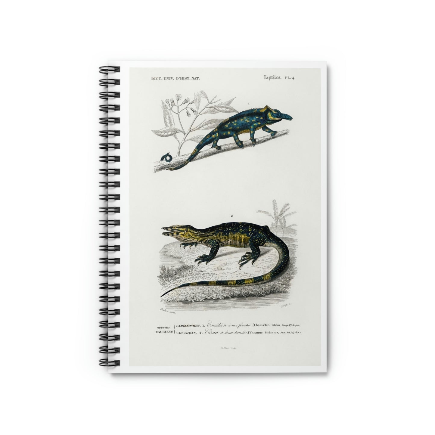 Spiral Notebook - Ruled Line