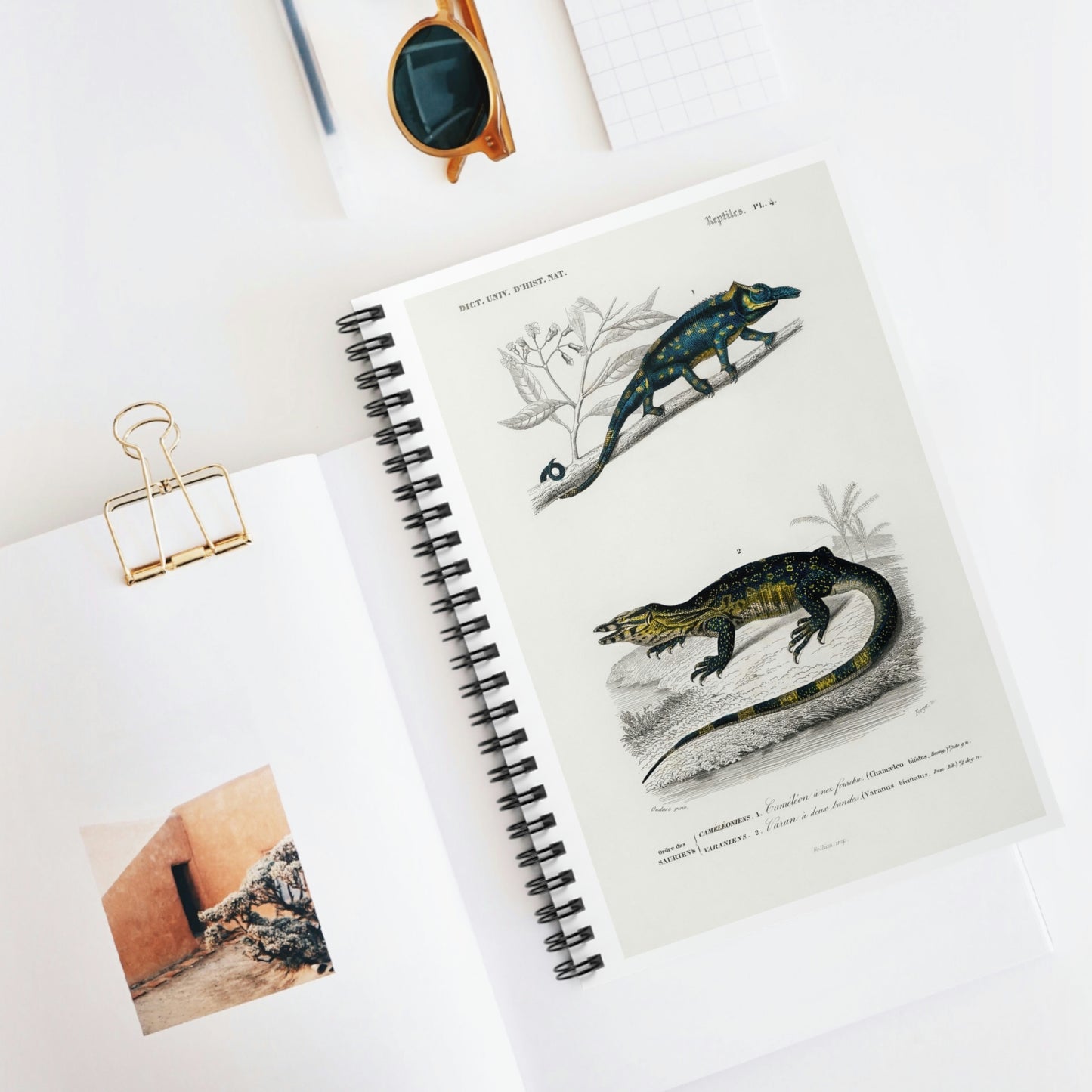 Spiral Notebook - Ruled Line