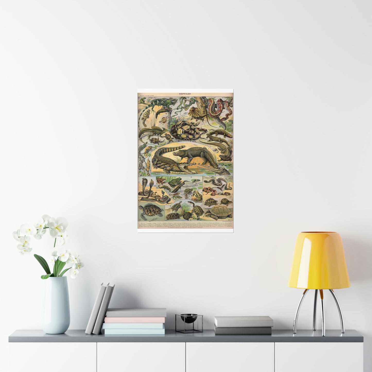 Reptiles Vintage Reproduction Illustration