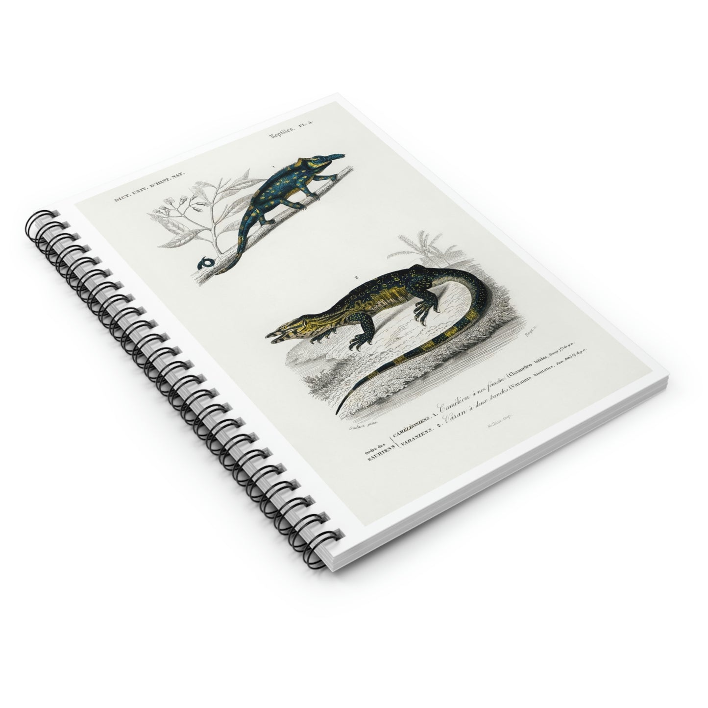 Spiral Notebook - Ruled Line