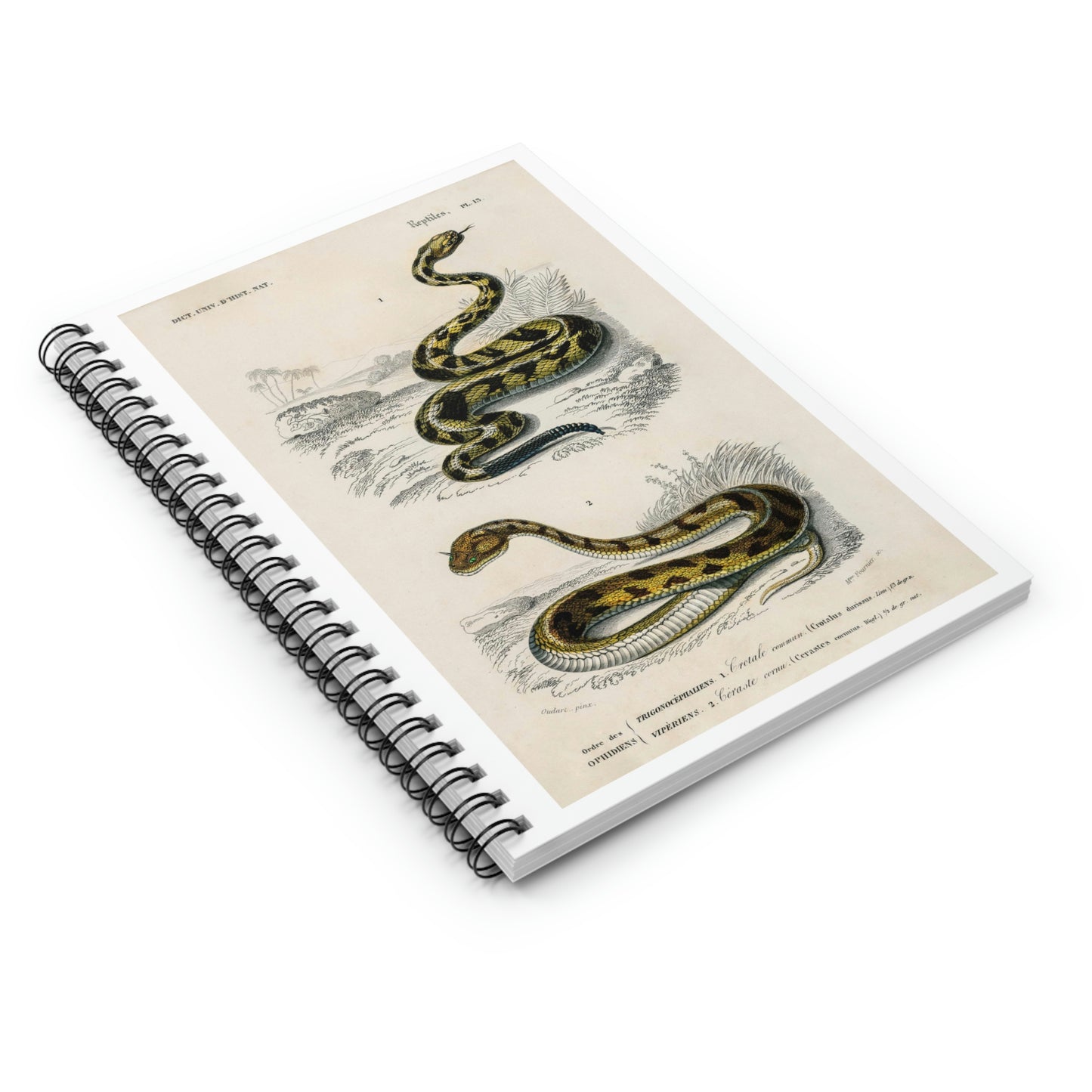 Spiral Notebook - Ruled Line
