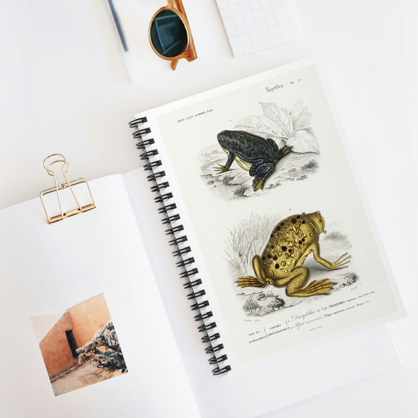 Spiral Notebook - Ruled Line