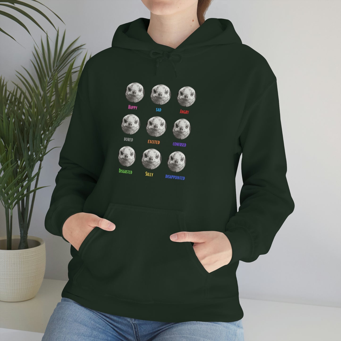Emotional Tortoise Hooded Sweatshirt