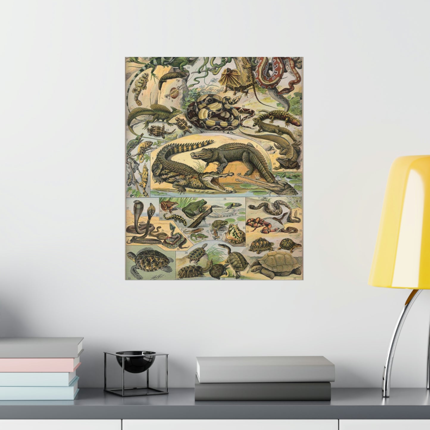 Reptiles Vintage Reproduction Illustration