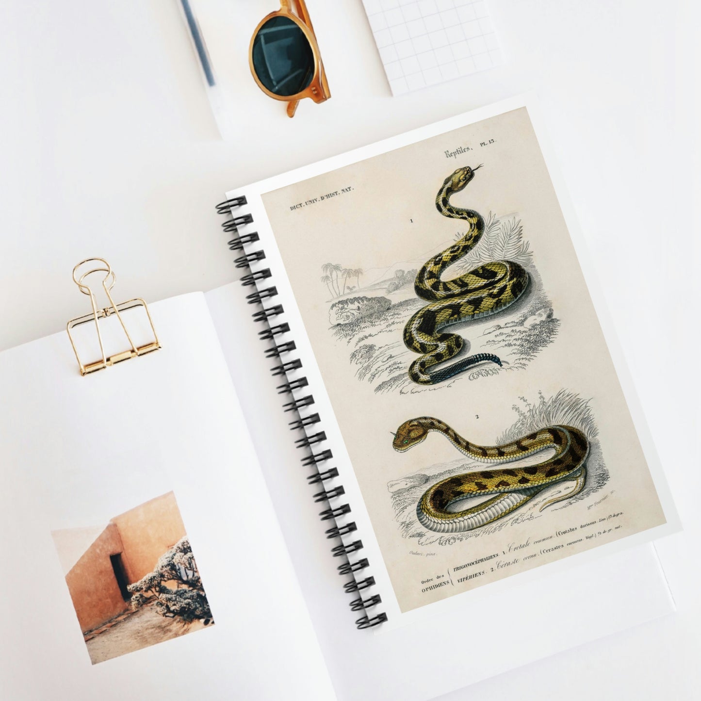 Spiral Notebook - Ruled Line