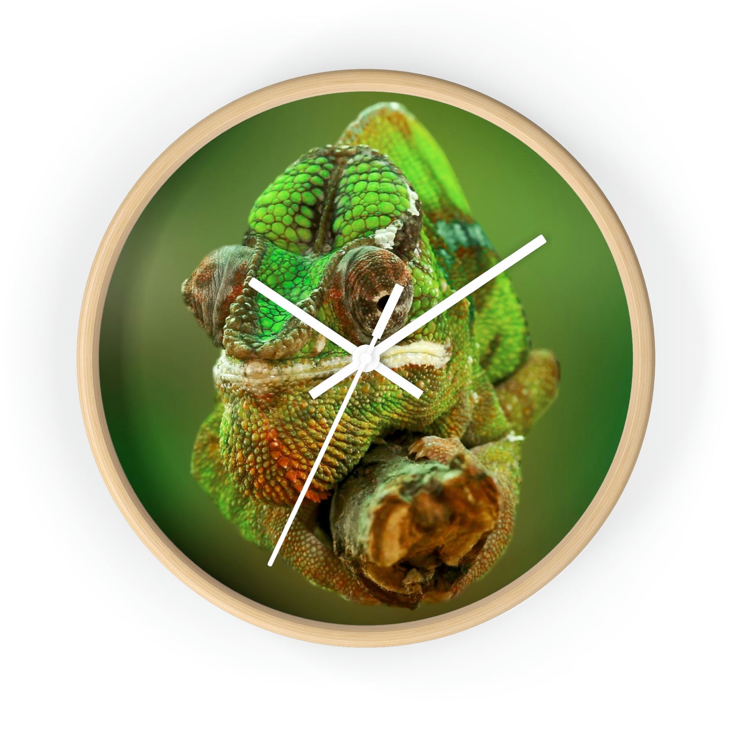 Chameleon Wall Clock
