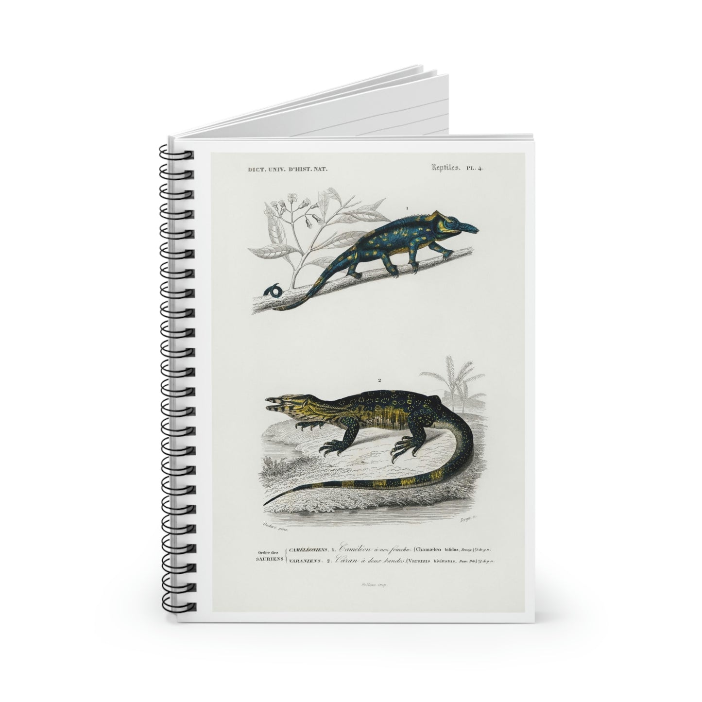 Spiral Notebook - Ruled Line