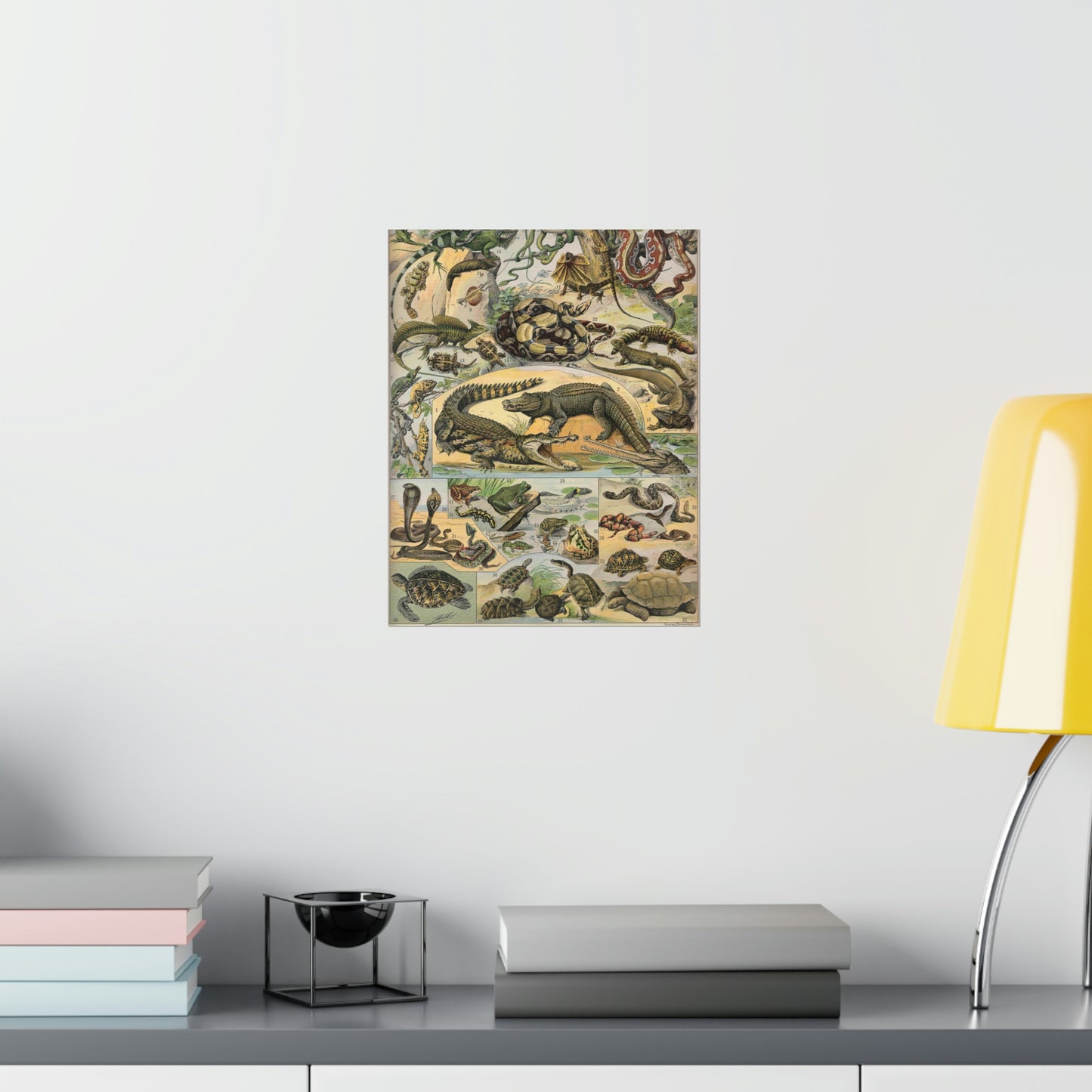 Reptiles Vintage Reproduction Illustration