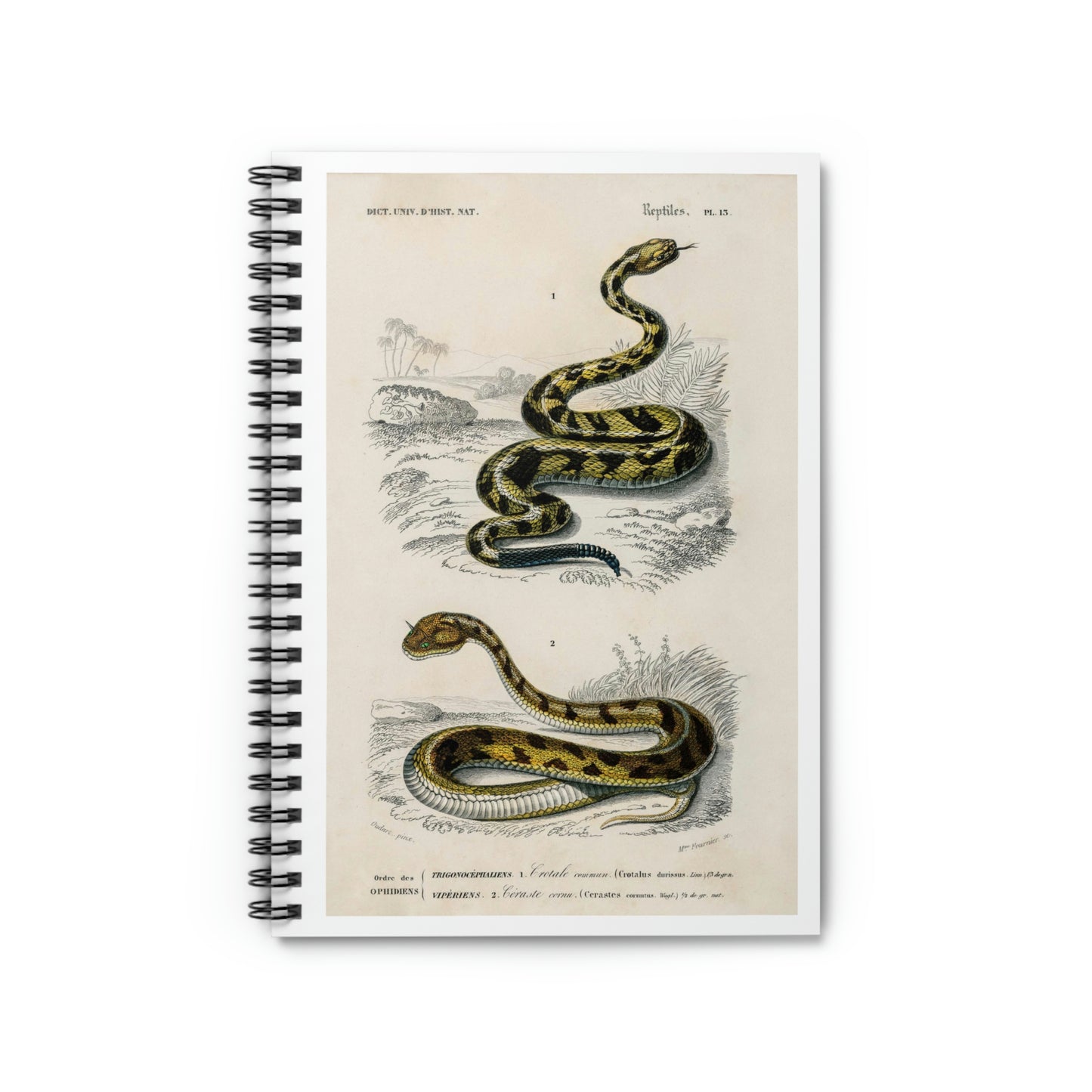 Spiral Notebook - Ruled Line